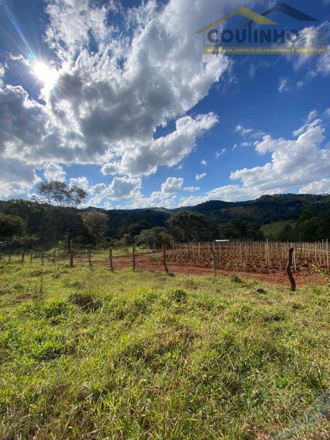 WhatsApp Image 2025-06-11 at 15.41.45.jpeg